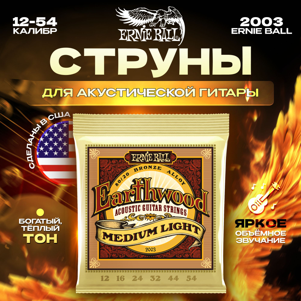 Струны для акустической гитары Ernie Ball 2003 12-54 Earthwood 80/20 Bronze  #1