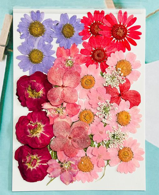 Набор натуральных сухоцветов для творчества, декора, 30 шт., размер набора - 18*13 см/ сухоцветы для #1