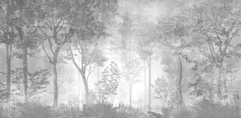 Фотообои флизелиновые на стену 3д GrandPik 26027 Лофт "Лес, деревья в тумане, винтаж, серые", 550х270 #1