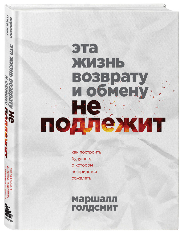 Эта жизнь возврату и обмену не подлежит. Как построить будущее, о котором не придется сожалеть | Голдсмит #1