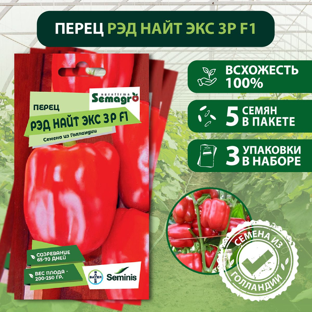 Семена Перец Рэд Найт Экс 3P F1 SEMINIS, 3 пакета, (5 семян в одном пакете), Голландия  #1