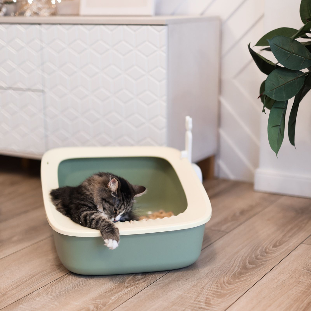 Лоток-туалет для кошек, для животных, "Не Один Дома" Клевер, зеленый, 61х44х25 см  #1