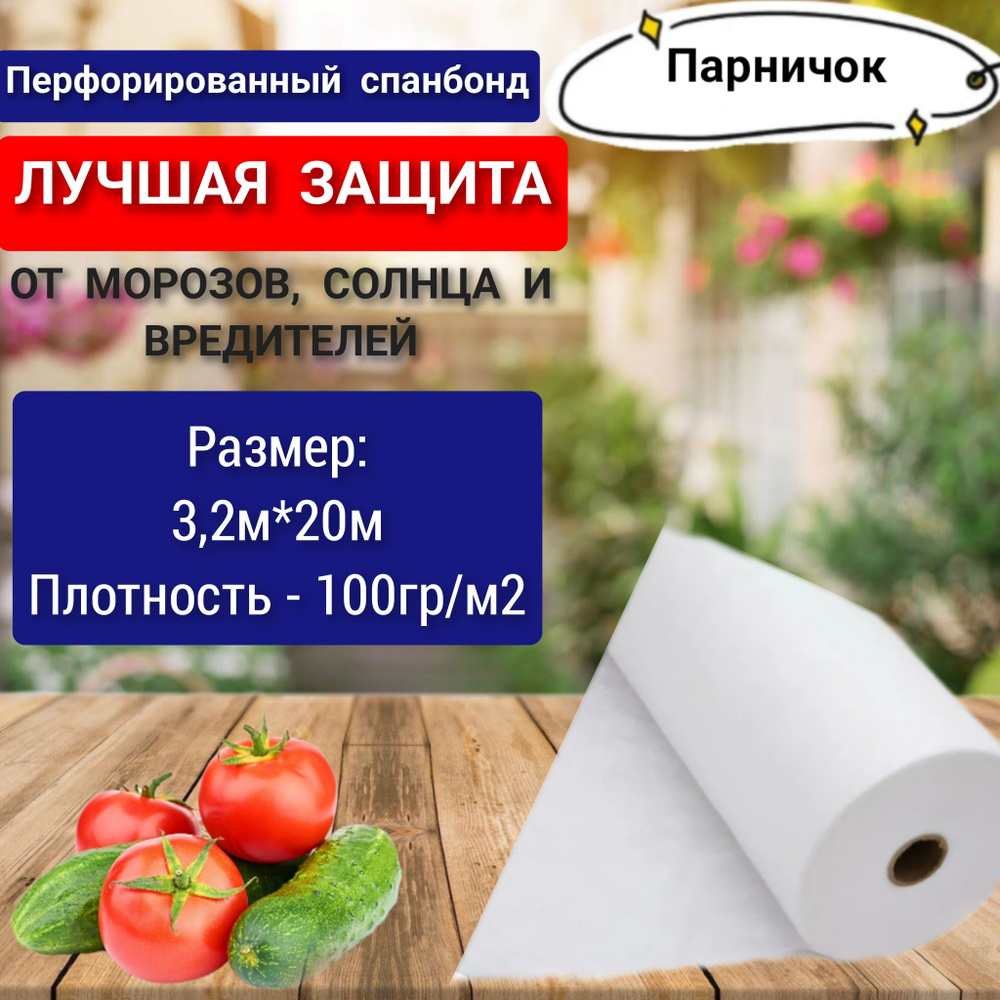 Парничок Укрывной материал Спанбонд, 3x20 м, 100 г-кв.м, 1 шт  #1