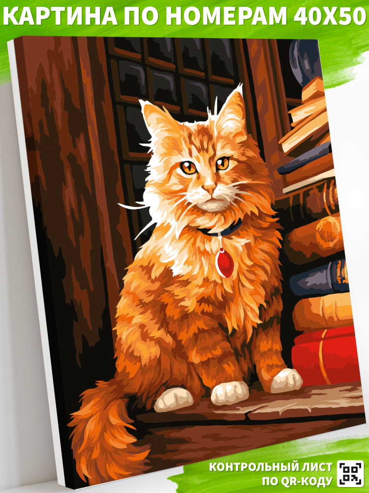 Картина по номерам на холсте 40х50 "Мудрый кот" / картина по номерам на подрамнике  #1