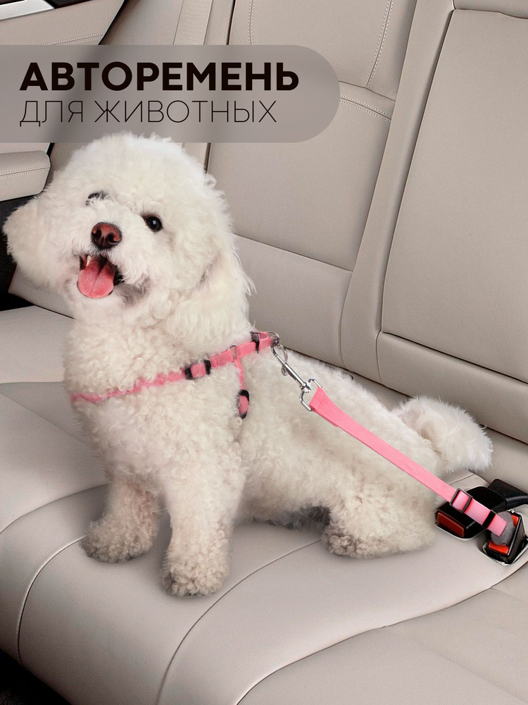 Регулируемый автомобильный ремень безопасности для собак в машину (авто-ремень в машину для животных #1