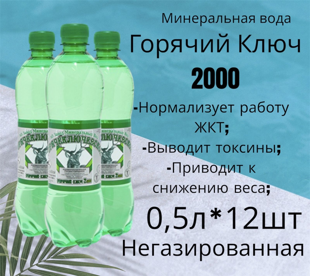 Завод минеральных вод «Горячеключевской» Вода Минеральная Негазированная 500мл. 12шт  #1