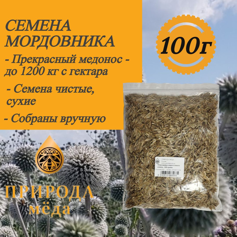 Семена мордовника шароголового, 100 г #1