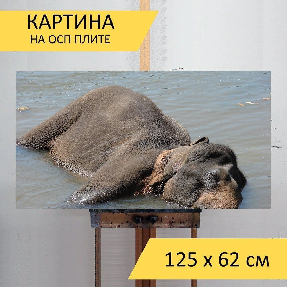 LotsPrints Картина "Слон, вода, купание 53", 125  х 62 см #1
