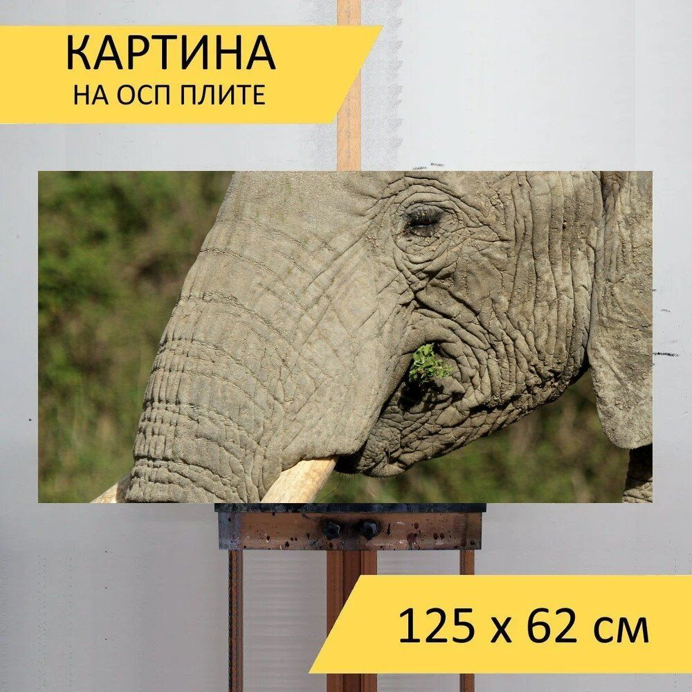 LotsPrints Картина "Слон, дикая природа, ствол 09", 125  х 62 см #1