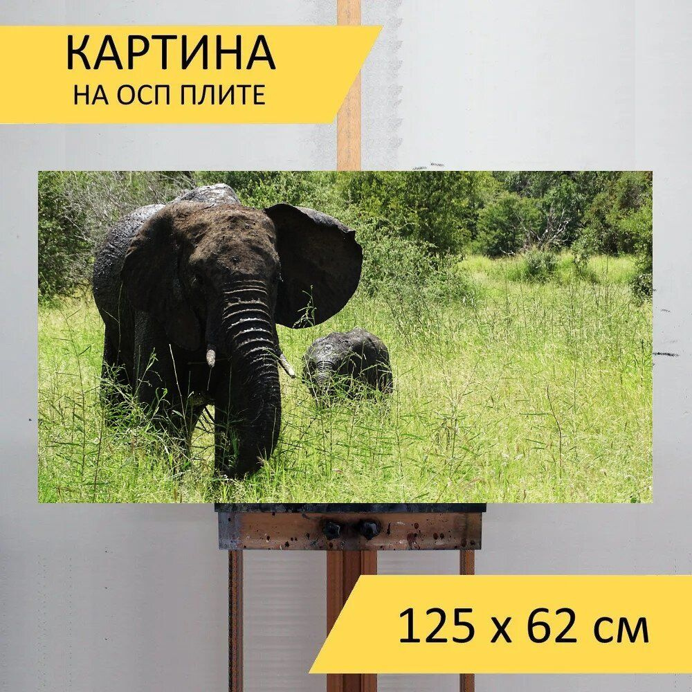 LotsPrints Картина "Слон, сафари, африке 69", 125  х 62 см #1