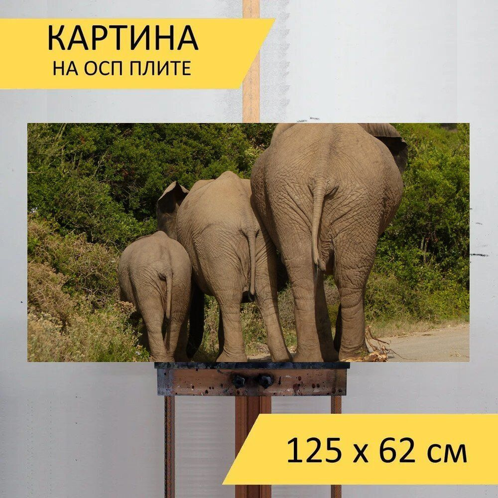 LotsPrints Картина "Слон, толстокожий, сафари 91", 125  х 62 см #1