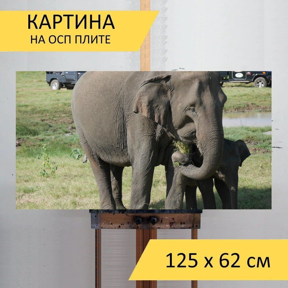 LotsPrints Картина "Слон, семья, детка 82", 125  х 62 см #1