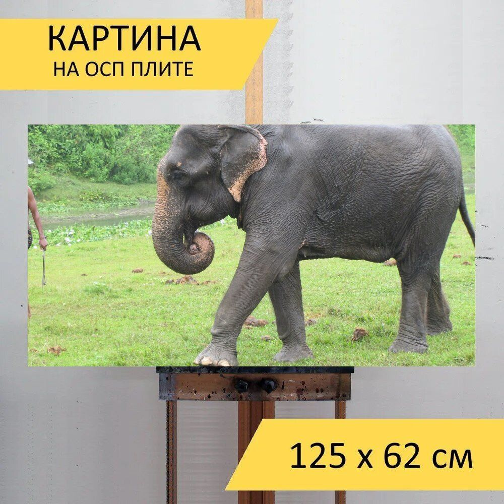 LotsPrints Картина "Слон, природа, дикий 78", 125  х 62 см #1