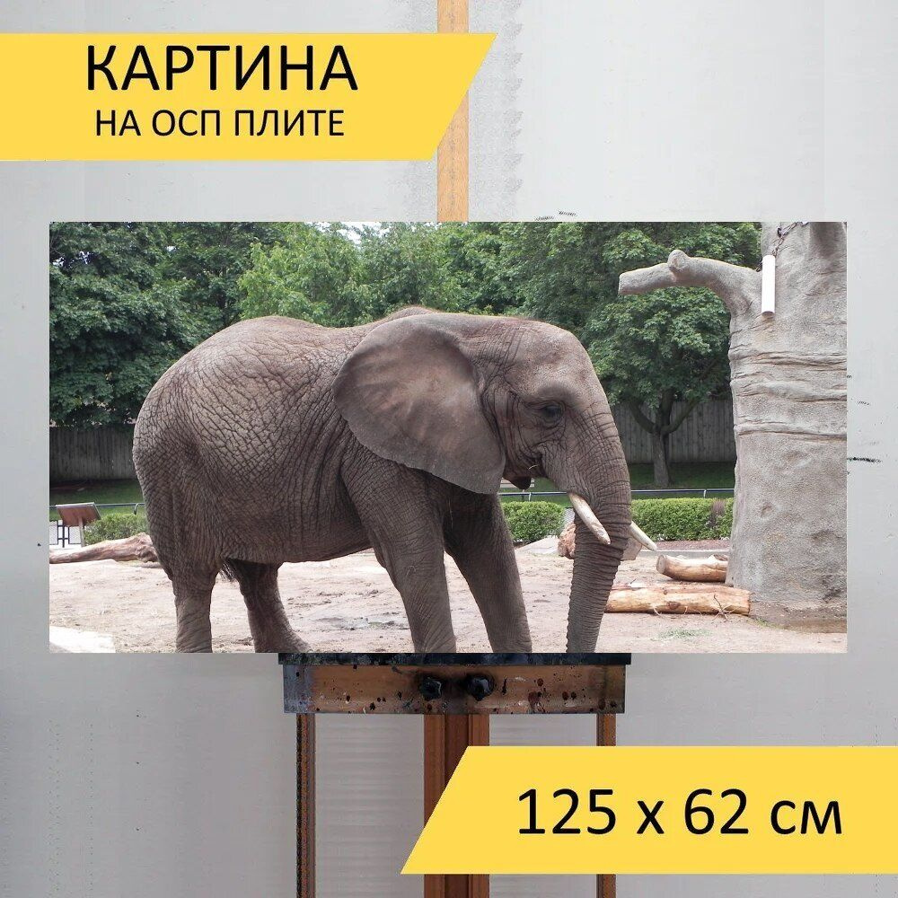 LotsPrints Картина "Слон, серый, дикая природа 29", 125  х 62 см #1