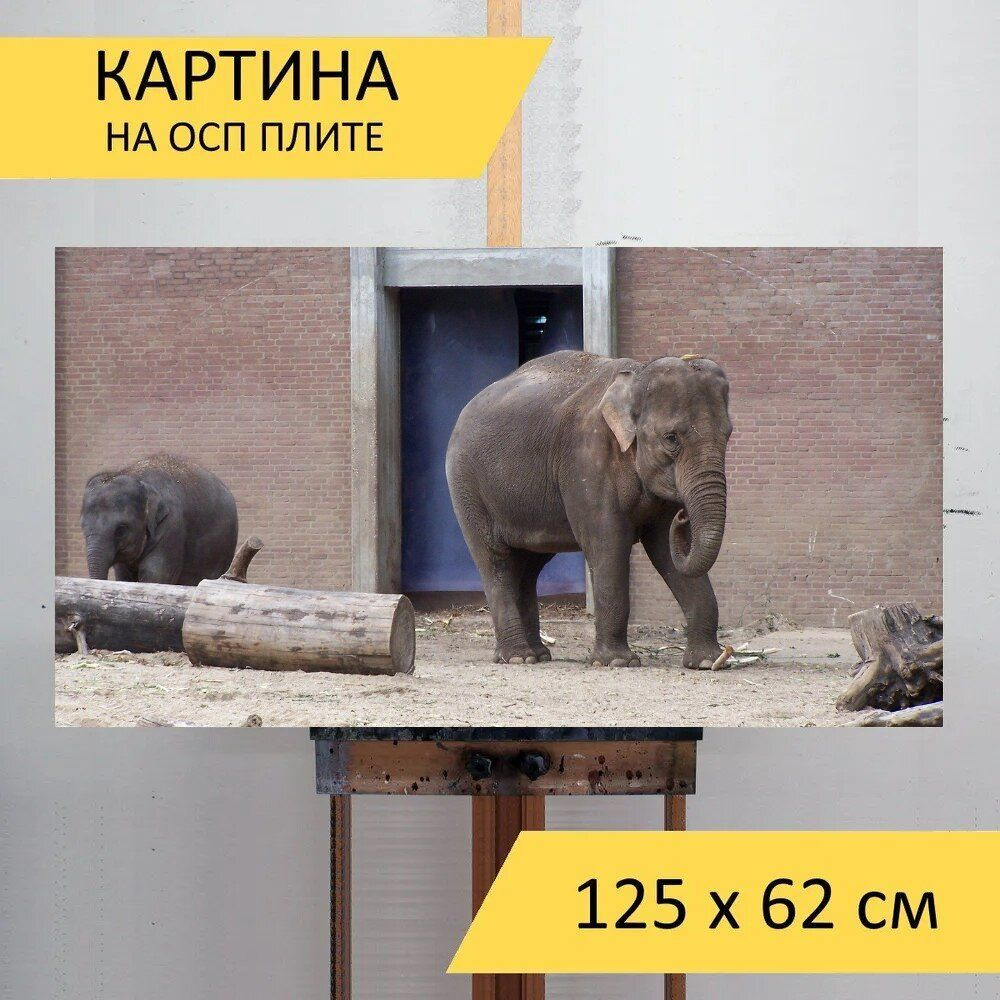LotsPrints Картина "Слон, зоопарк, животное 01", 125  х 62 см #1