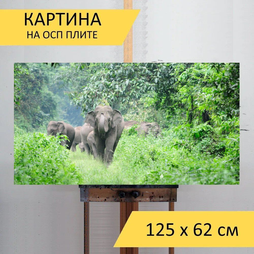 LotsPrints Картина "Слон, дикий, природа 82", 125  х 62 см #1