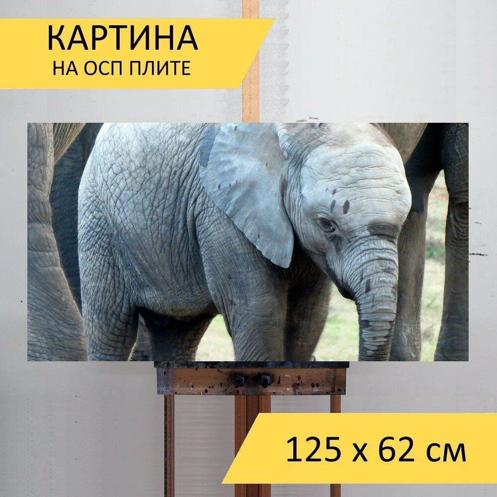 LotsPrints Картина "Слон, слоненок, телец 30", 125  х 62 см #1