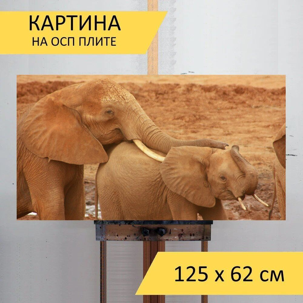 LotsPrints Картина "Слон, детка, животное 18", 125  х 62 см #1