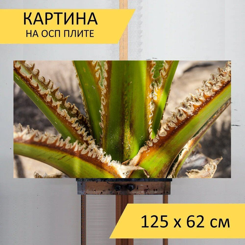 LotsPrints Картина "Кактус, агава, колючий 88", 125  х 62 см #1