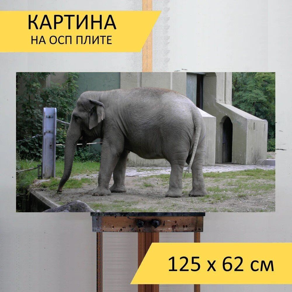 LotsPrints Картина "Слон, млекопитающее, травоядных животных 20", 125 х 62 см  #1
