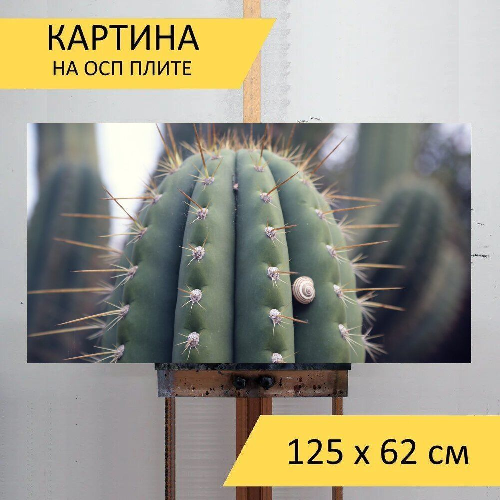 LotsPrints Картина "Кактус, пустыня, шипы 62", 125  х 62 см #1