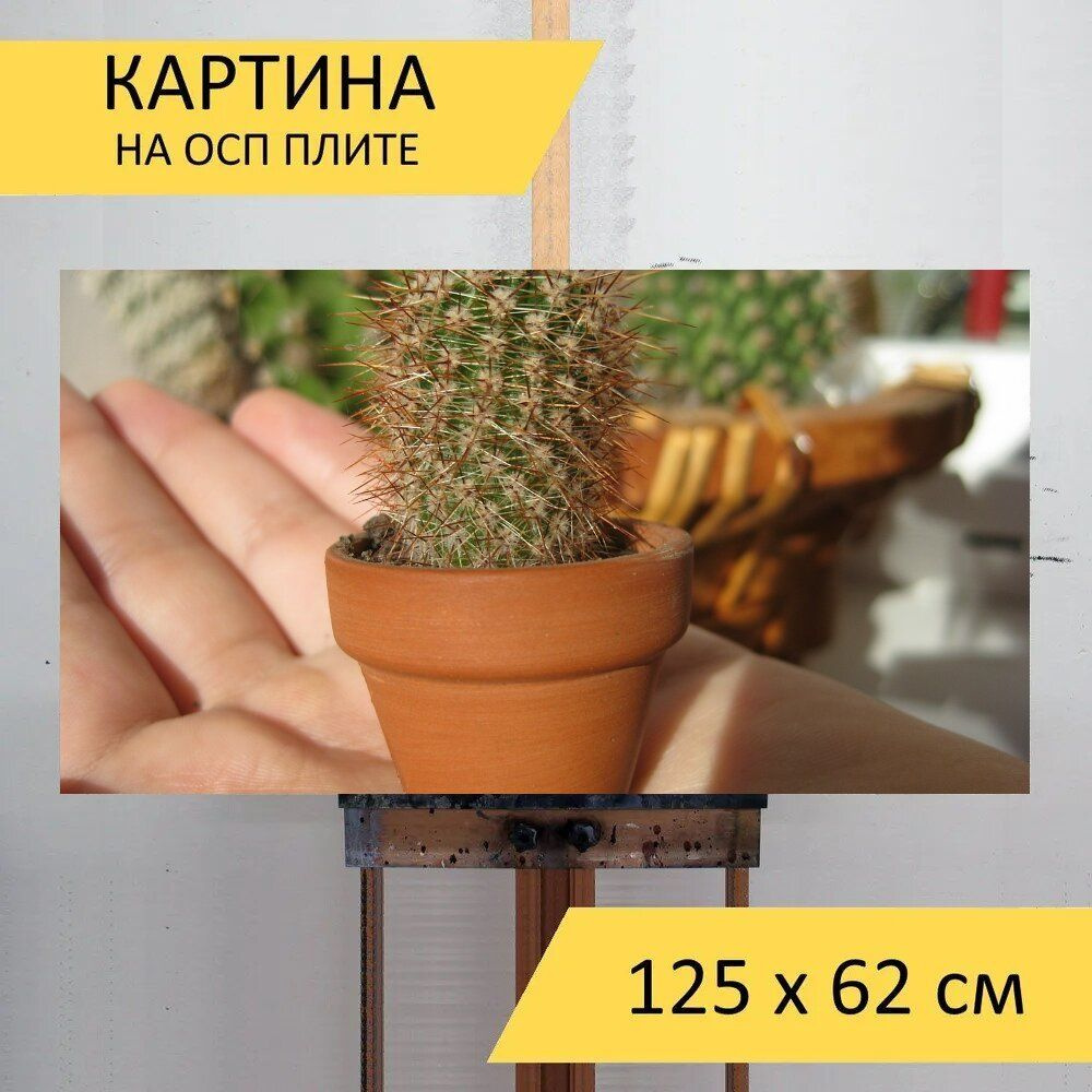 LotsPrints Картина "Кактус, маленький, ладонь 11", 125  х 62 см #1