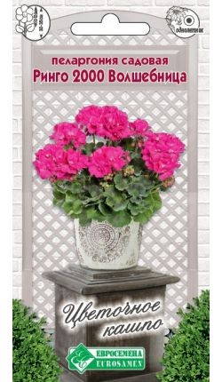 Королевская Пеларгония Семена Купить В Интернет