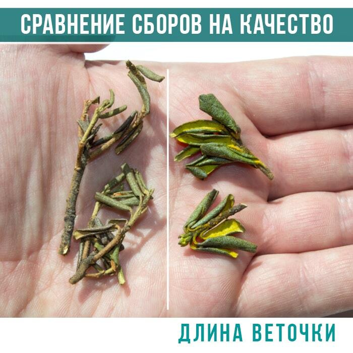 Качество сбора Саган Дайля