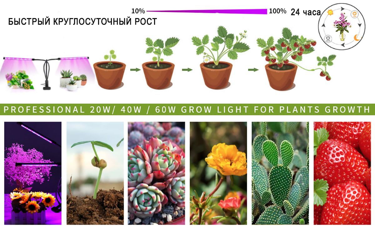 Текстовое описание изображения