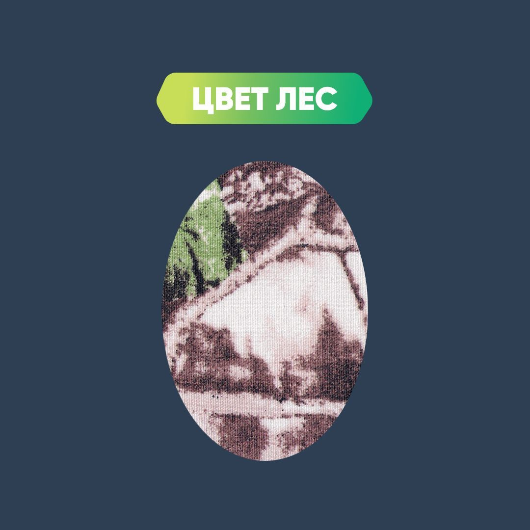 ЛЕС