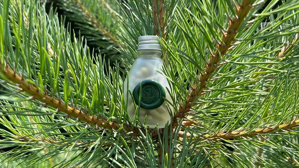 детокс