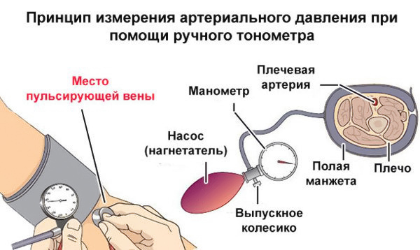 Схема тонометра автоматического