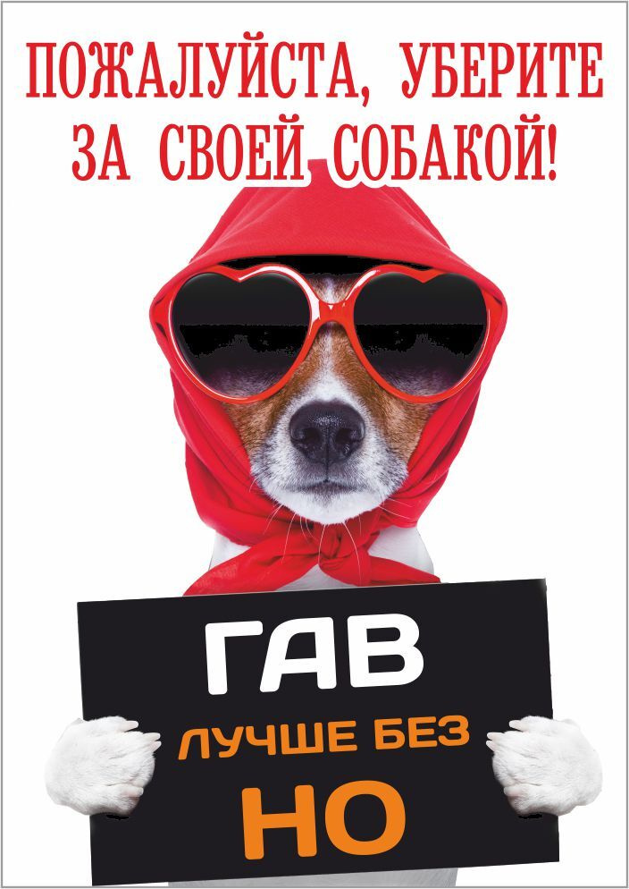 Информационная табличка "Уберите за собакой №2" 297x210 мм из пластика 3 мм  #1