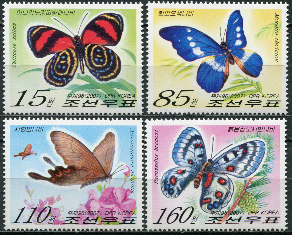 КНДР 2007. Бабочки (MNH OG) Серия из 4 марок #1