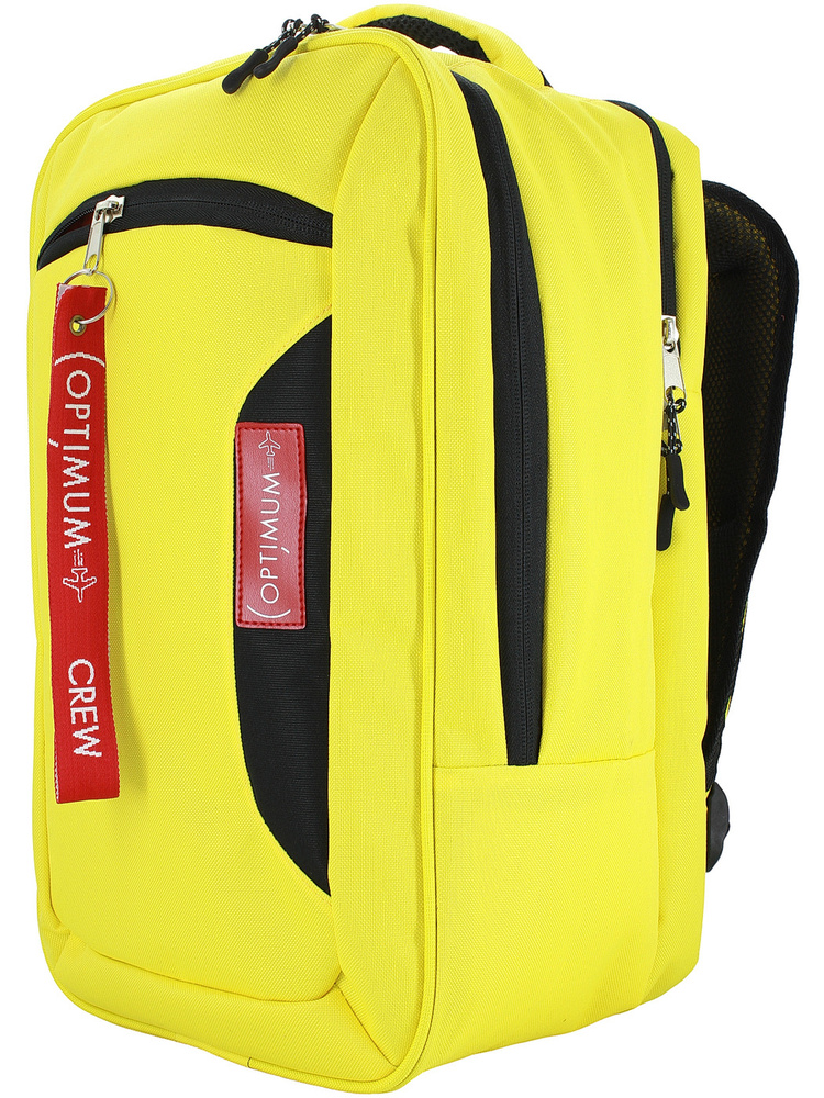 Рюкзак сумка чемодан для Райанэйр ручная кладь 40 20 25 см 20 литров ...