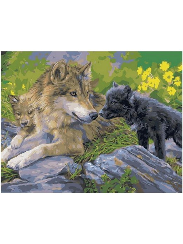 Картина по номерам Красивая волчица с волчатами. Животные 40х50 см 1000 Toys hobby  #1