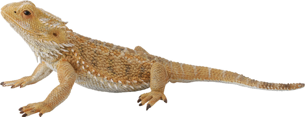 Фигурка Collecta "Бородатая ящерица", размер L. 88567b - купить с ...