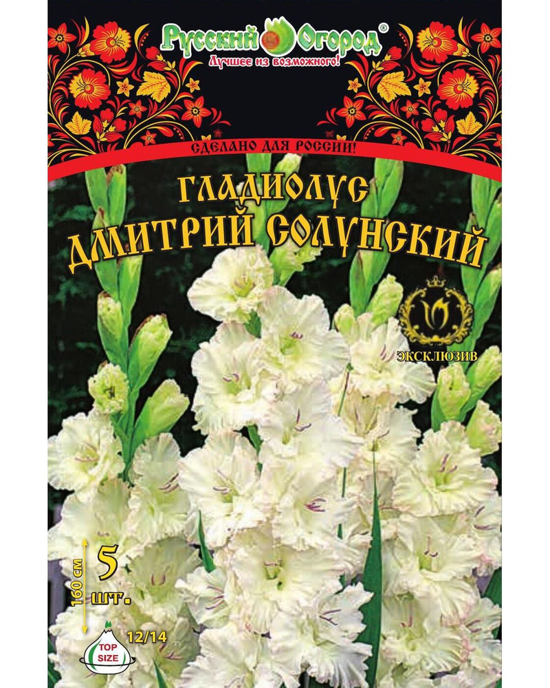 Луковичные цветы Русский Огород "Гладиолус Дмитрий Солунский", 5 шт., разбор 12/14  #1