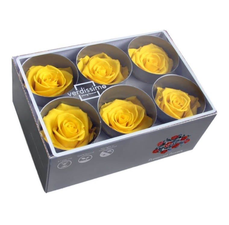 Бутоны розы стабилизированные "Жёлтые" 6шт /флористический материал/для создания букетов/  #1