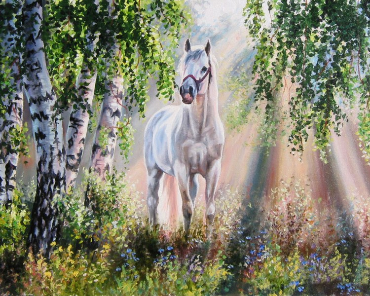 Картина раскраска по номерам на подрамнике на холсте 40*50 см "Белая лошадь среди берез"  #1