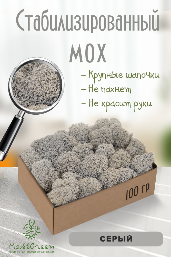 Moss Green Стабилизированный мох Мох, 100 гр #1