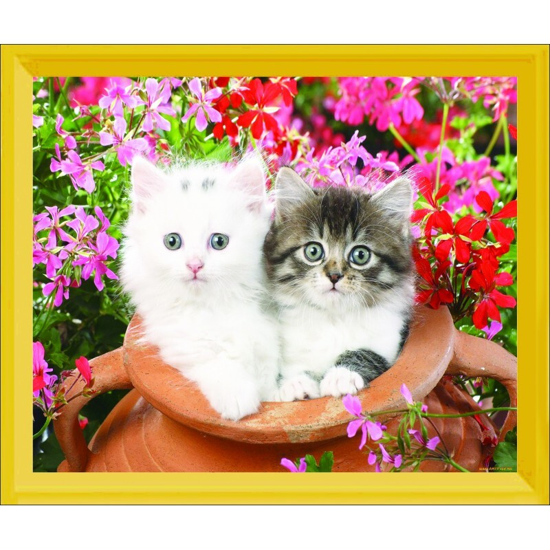 DVEKARTINKI Алмазная мозаика на картоне 21x25 см Частичная выкладка круглые стразы 21х25Пушистые котятки #1