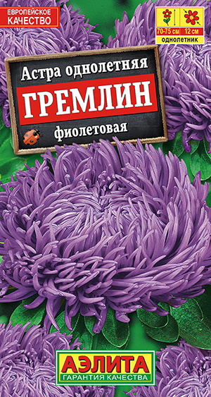 Астра "Гремлин фиолетовая" Семена цветов Аэлита, 0,2 гр #1