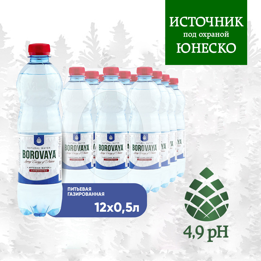 Вода БОРОВАЯ природная газированная, пэт 0.5 л х 12 шт #1