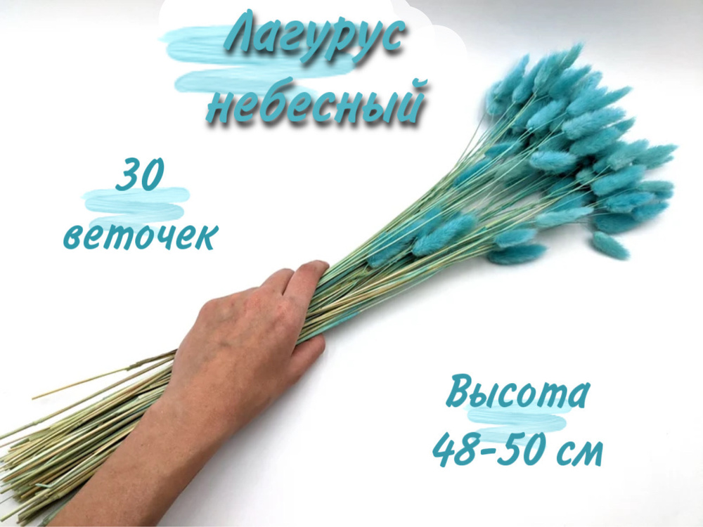 MC Стабилизированные цветы Лагурус, 50 см, 30 гр, 25 шт #1