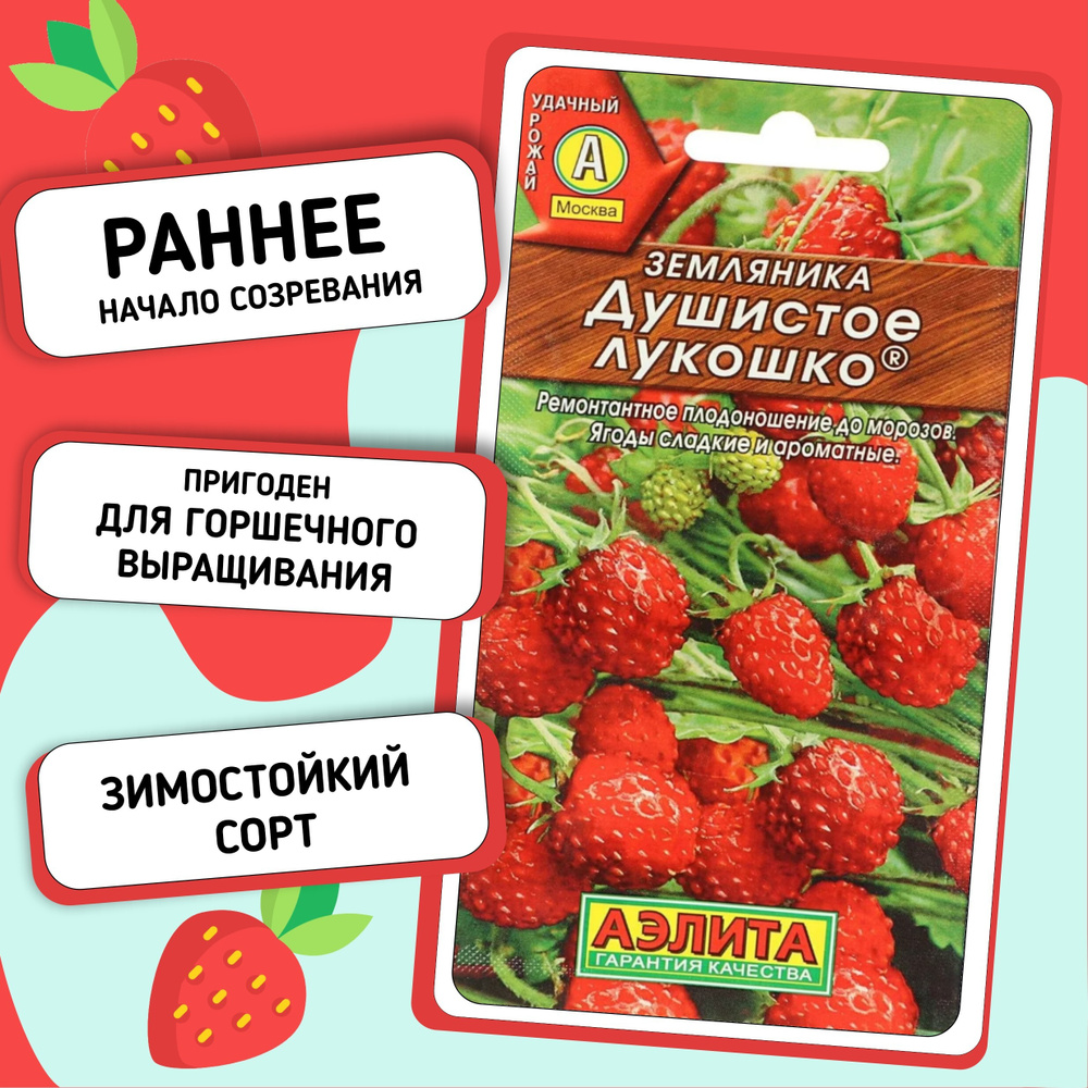 Земляника ремонтантная раннеспелая Душистое лукошко, подходит для выращивания на балконе  #1