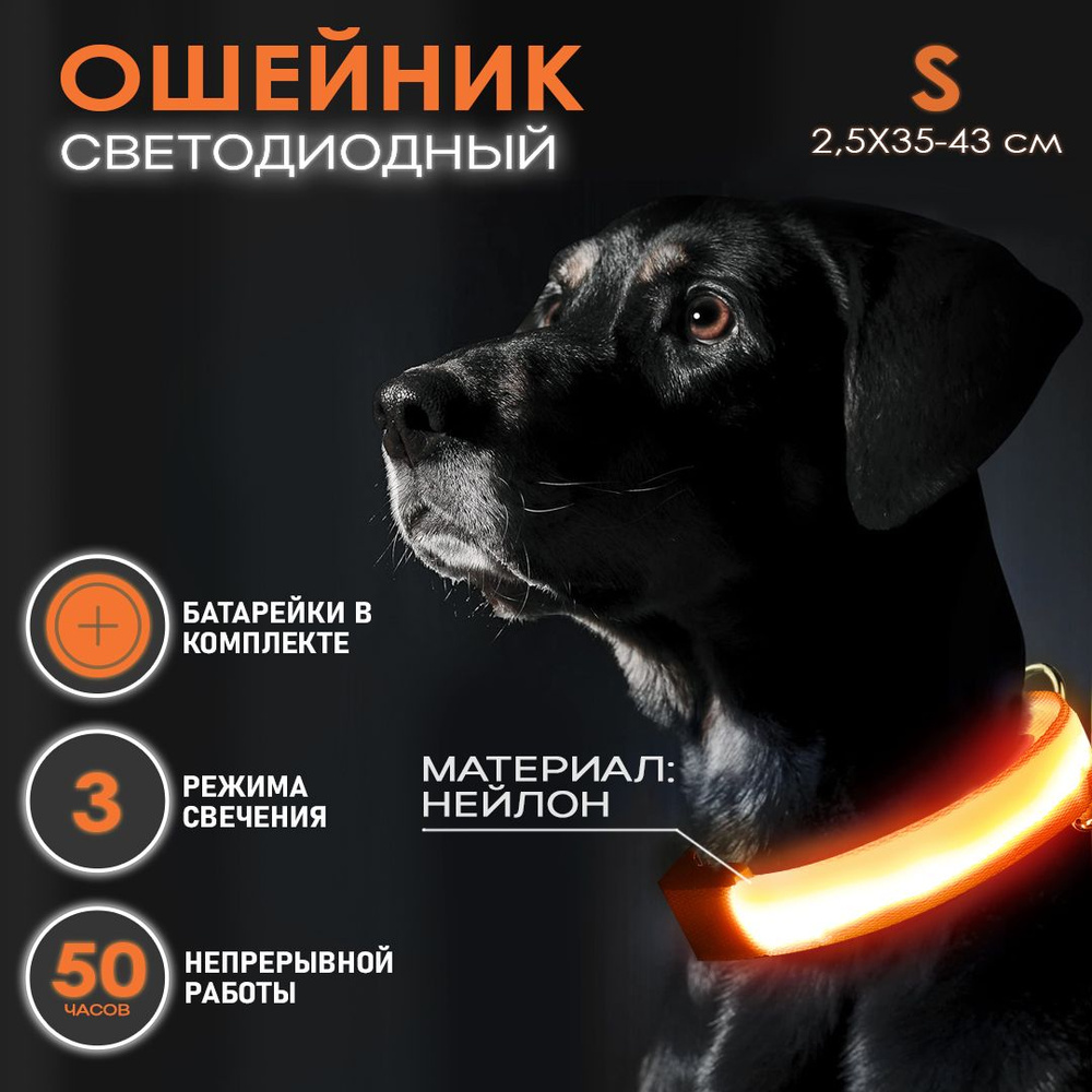 Ошейник светящийся для собак и кошек светодиодный нейлоновый оранжевого цвета, размер S - 2,5х35-43 см #1