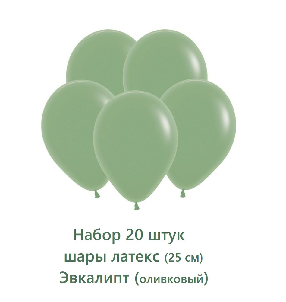 Шар воздушный латекс 25 см Эвкалипт , Набор латексных воздушных шаров 20 шт  #1