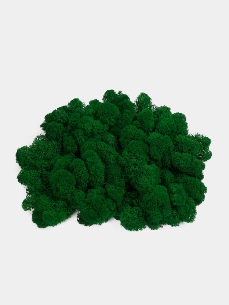 Moss Green Стабилизированный мох Мох, 500 гр #1
