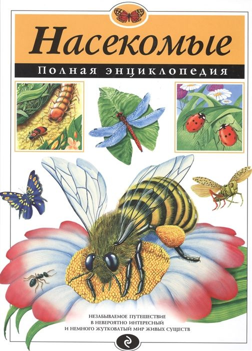 Насекомые. Полная энциклопедия | Грин Тамара #1
